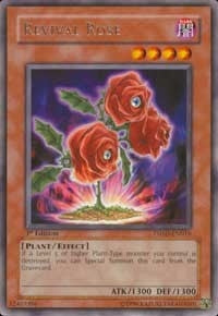 Revival Rose (TSHD-EN016)
