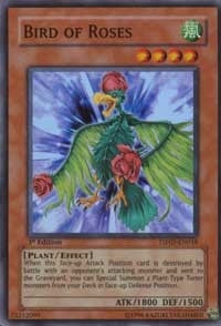 Bird of Roses (TSHD-EN018)