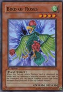 Bird of Roses (TSHD-EN018)