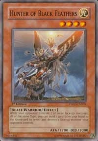 Hunter of Black Feathers (TSHD-EN038)