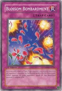Blossom Bombardment (TSHD-EN074)