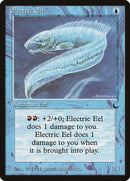 Electric Eel [DRK]