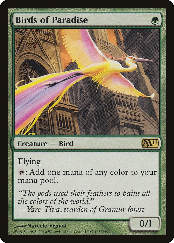 Birds of Paradise (165) [M11]