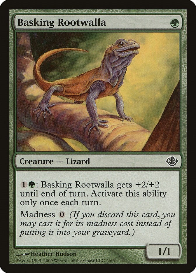 Basking Rootwalla (2) [DDD]