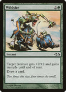 Wildsize (23) [EVG]