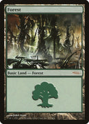 Forest 2004 [ARENA]
