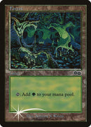 Forest 1999 [ARENA]