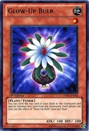 Glow Up Bulb (STBL-EN018)