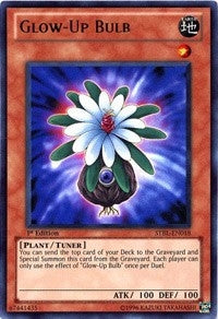 Glow Up Bulb (STBL-EN018)