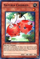 Naturia Cherries (STBL-EN030)
