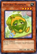 Naturia Pumpkin (STBL-EN031)