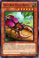 Naturia Stag Beetle (STBL-EN032)