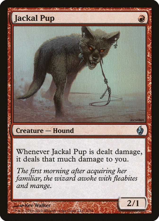 Jackal Pup (2) [PD2]