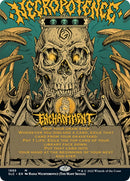 Necropotence (Borderless Alternate Art) [Secret Lair 30th Anniversary Countdown Kit]