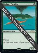 Birds of Paradise (182) [30A]