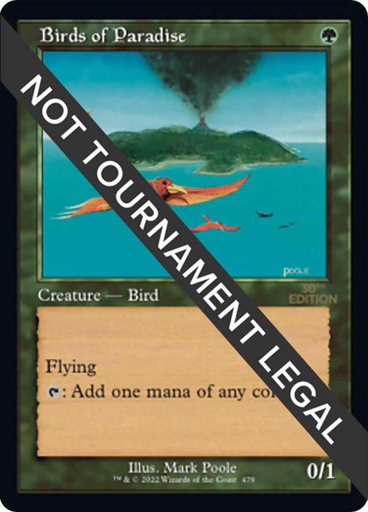 Birds of Paradise Retro Frame (479) [30A]