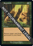 Regrowth Retro Frame (507) [30A]