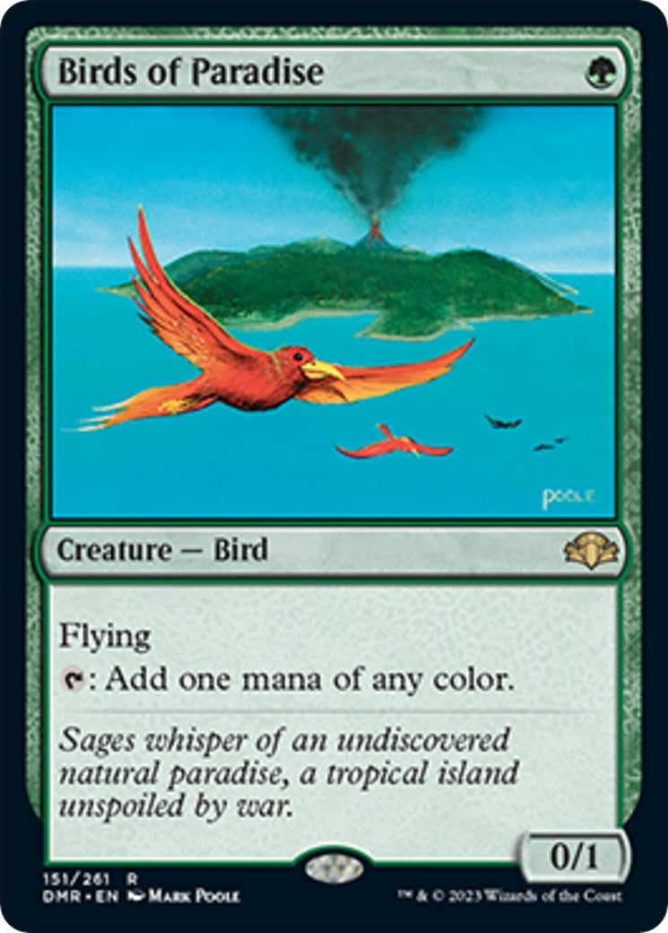 Birds of Paradise (151) [DMR]