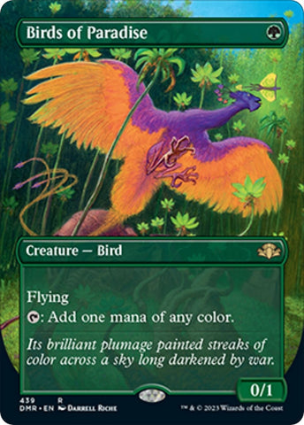 Birds of Paradise Borderless (439) [DMR]