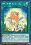 Naturia Blessing (DABL-EN064) [DABL]