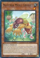 Naturia Mole Cricket (DABL-EN020) [DABL]