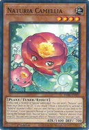 Naturia Camellia (DABL-EN021) [DABL]