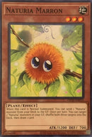Naturia Marron (OP20-EN015) [OP20]
