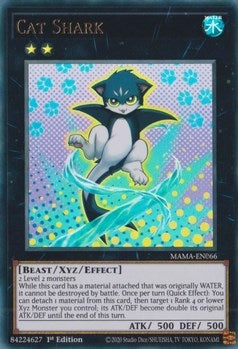 Cat Shark (MAMA-EN066) [MAMA]