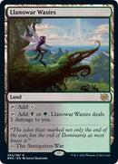 Llanowar Wastes (264) [The Brothers' War]