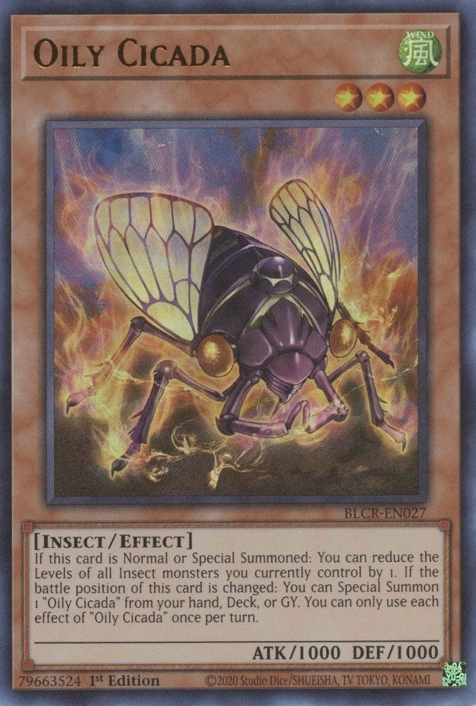 Oily Cicada (BLCR-EN027) [BLCR]