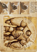Precursor Golem Art Card (72) [ASBRO]