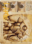 Precursor Golem Art Card Gold Stamped Signature (72) [ASBRO]