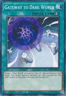 Gateway to Dark World (SR13-EN029) [SR13]