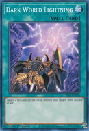 Dark World Lightning (SR13-EN030) [SR13]