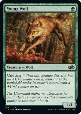Young Wolf (746) [J22]