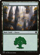 Forest 349 (349) [SCD]