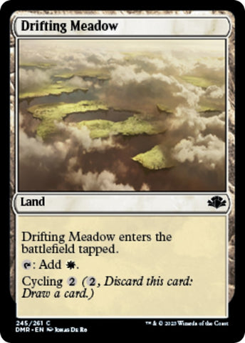 Drifting Meadow [Dominaria Remastered]