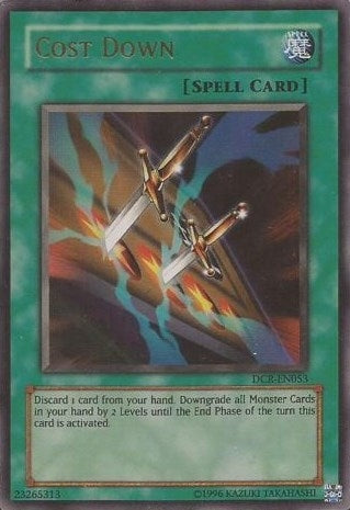 Cost Down (DCR-EN053) [DCR-EN]