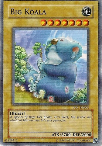Big Koala (IOC-EN004) [IOC-EN]