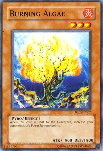 Burning Algae (IOC-EN062) [IOC-EN]