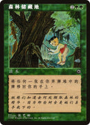 Image for Elven Cache (CS Alternate Art)