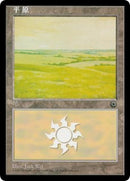 Image for Plains (CS Alternate Art) (196s)