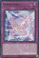Purrelyeap (AMDE-EN024) [AMDE]