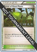Forest of Giant Plants 2017 Kabu Fukase (74/98) [WCD]