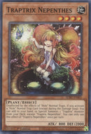 Traptrix Nepenthes (SDBT-EN005) [SDBT]