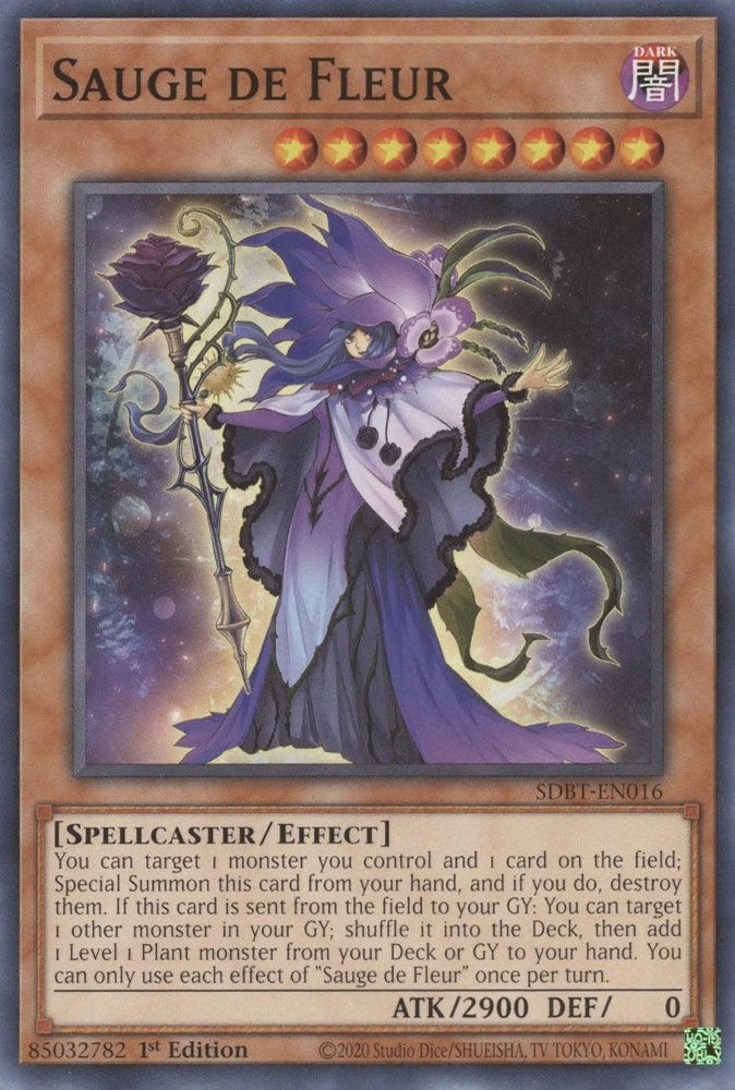 Sauge de Fleur (SDBT-EN016) [SDBT]