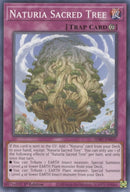 Naturia Sacred Tree (SDBT-EN037) [SDBT]