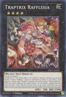 Traptrix Rafflesia (SDBT-EN039) [SDBT]