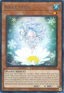 Rikka Petal (MAZE-EN047) [MAZE]