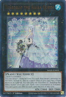 Teardrop the Rikka Queen (MAZE-EN053) [MAZE]
